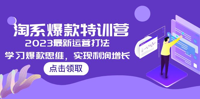 2023淘系爆款特训营，2023最新运营打法，学习爆款思维，实现利润增长-有道网创