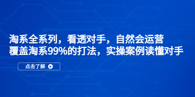 淘系全系列，看透对手，自然会运营，覆盖淘系99%·打法，实操案例读懂对手-有道网创