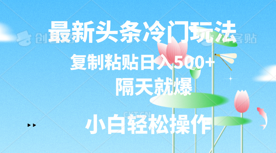 最新头条冷门玩法，隔天就爆，复制粘贴日入500+-有道网创